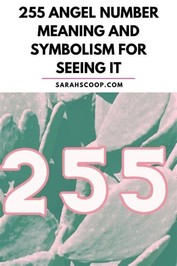 255 Angel Number Meaning and Symbolism