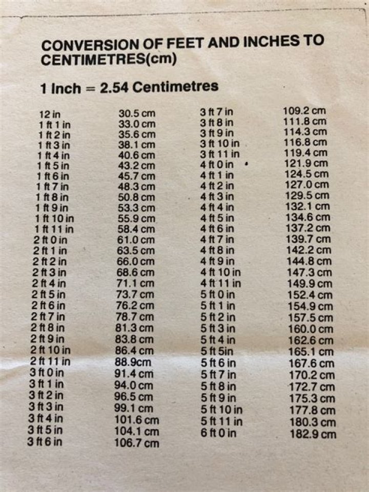 301 cm to feet and inches