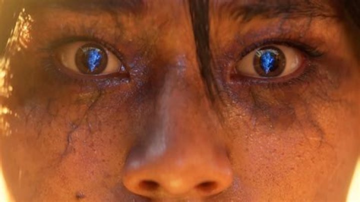 A Journey Through Mr. Lucky's Eyes