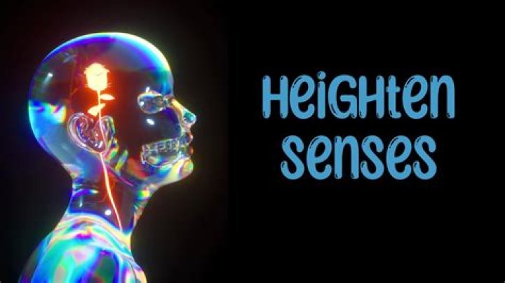 A Journey To Heightened Perception