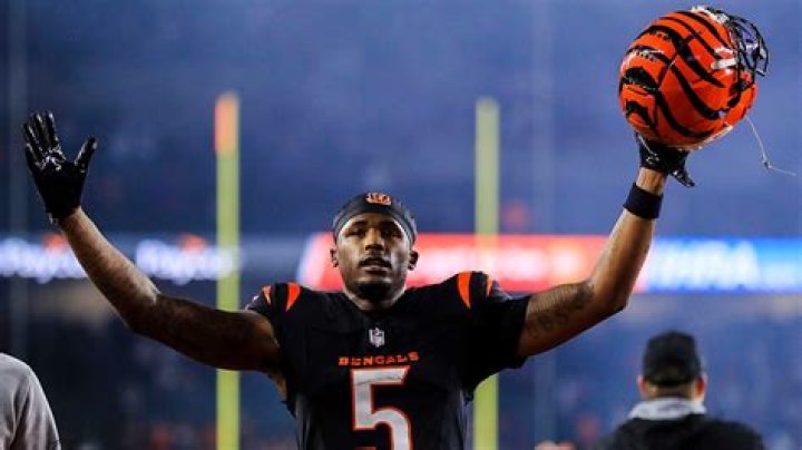 Bengals Tee Higgins wont negotiate extension during season, expected to hit free agency: Sourc |