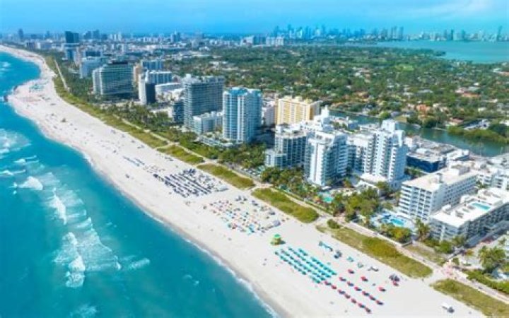 Discoveries And Insights From Koko Miami