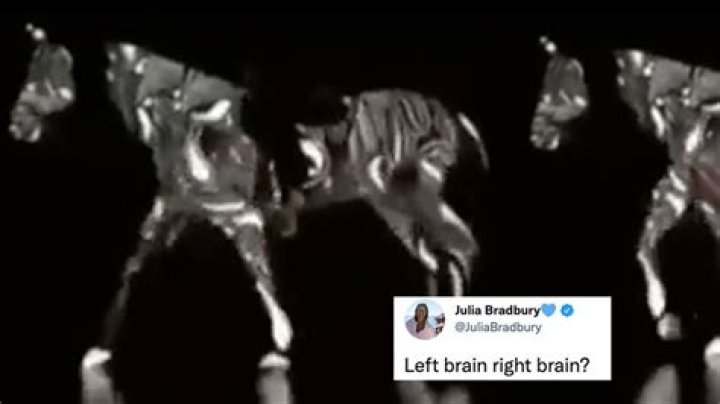 Do you see a horse walking forwards or backwards? Optical illusion divides opinion