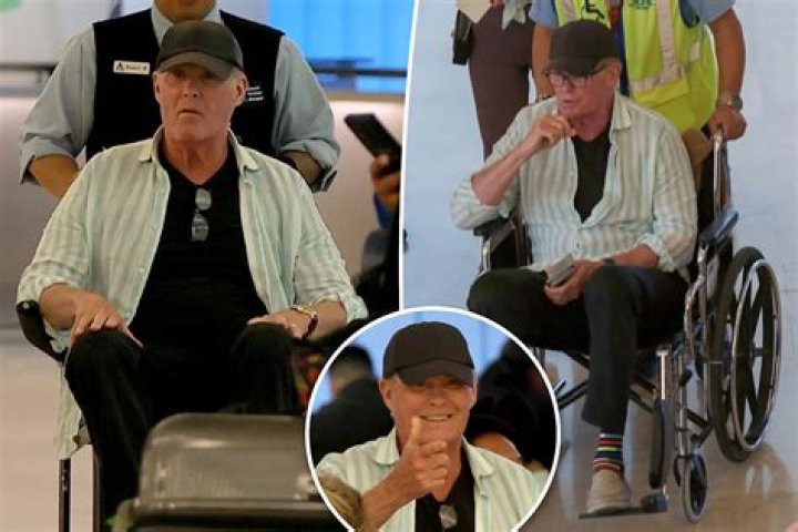 Does David Hasselhoff Wear A Wig? He Has A Disease, Just Like Cancer, Death Rumors Explained |