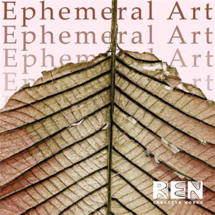 Ephemeral Art With A Powerful Message
