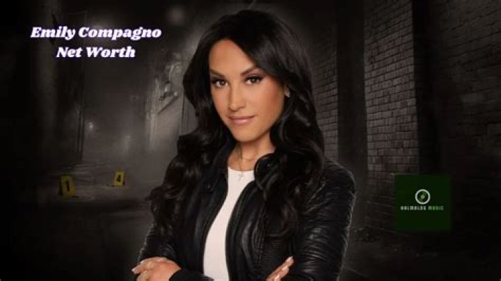 Fox News Emily Compagno Net Worth