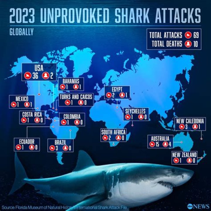 Insider Revelations On The "Shark.bae OnlyFans Leak"