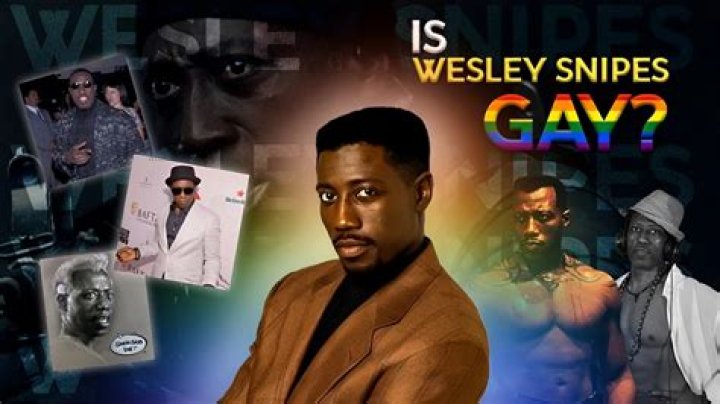 Is Wesley Snipes Gay? The Truth Behind The Rumors Rallshe