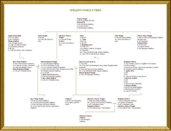 Letitia Wright Family Tree & History, Ancestry & Genealogy |