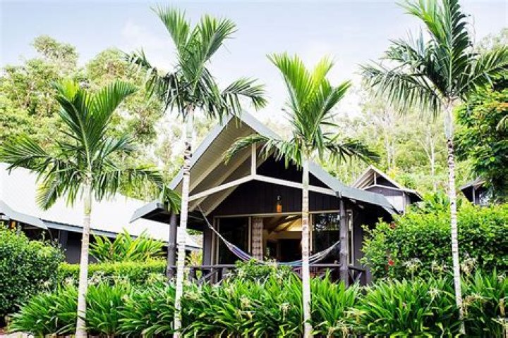 Palm Bungalows Hotel Review, Hamilton Island, Australia