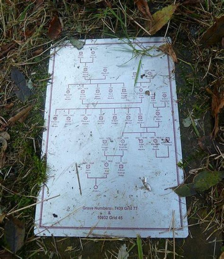 Thomas Hartland-Mackie Family Tree & History, Ancestry & Genealogy |