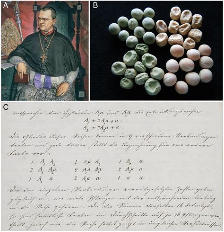Uncover The Allure Of Body Candy: Discoveries And Insights