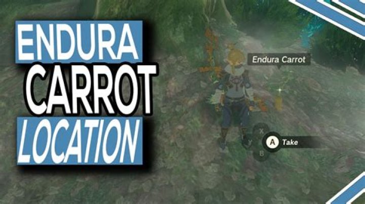 Uncover The Secrets Of Endura Carrot Location: A Journey Of Discovery