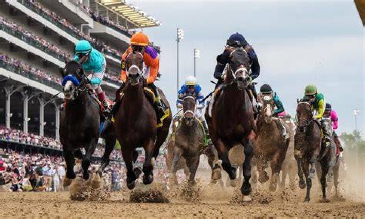 Unveiling The Secrets Of Horse Racing With Kerry Kollmar