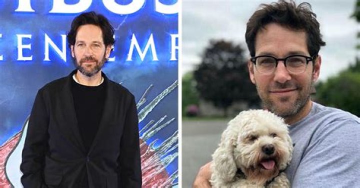 Unveiling The Secrets Of Paul Rudd's Age-Defying Looks