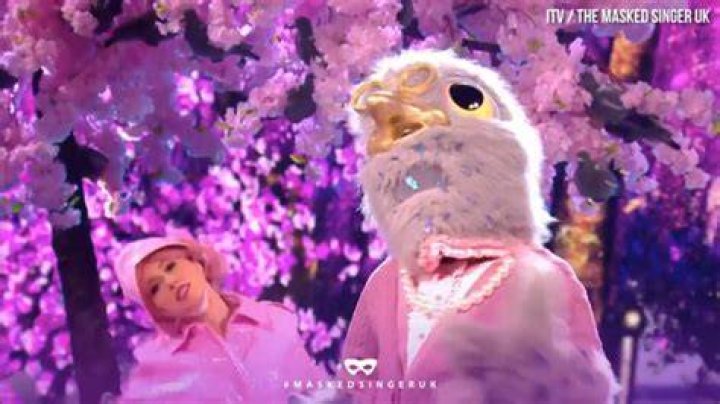 Who is Pigeon on The Masked Singer? Celebrity identity clues and theories