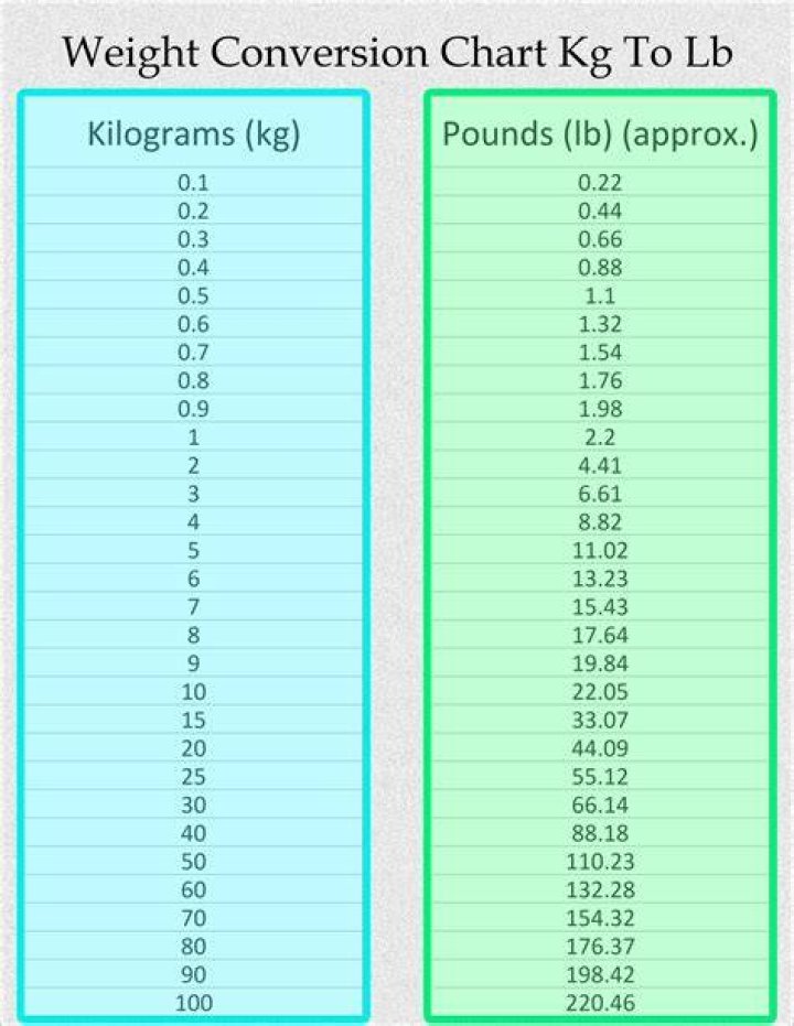 WinkDash | 9.5 kg to lbs